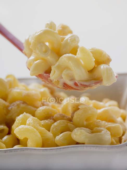 Macaroni au fromage dans un bol — Photo de stock