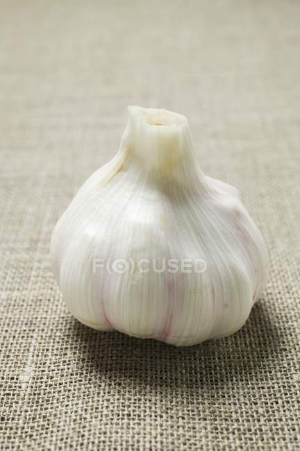 Garlic bulb uncoverd — Stock Photo