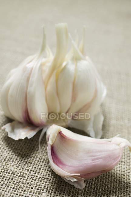 Fresh ripr garlic — Stock Photo