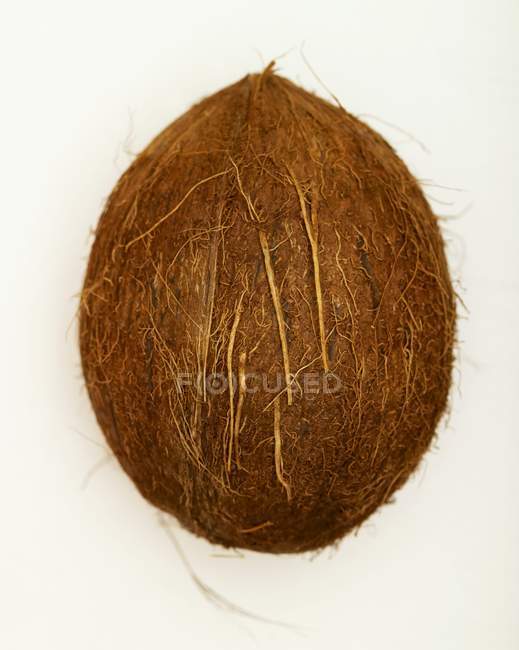 Noce di cocco in guscio sopra bianco — Foto stock