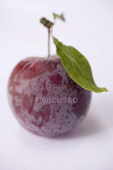Prune fraîche mûre avec feuille — Photo de stock
