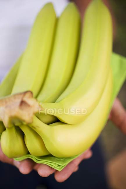 Frische reife gelbe Bananen — Stockfoto