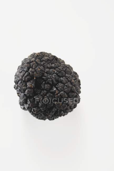Fresh Black truffle — Stock Photo