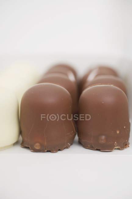 Chocolate covered marshmallows — Stock Photo