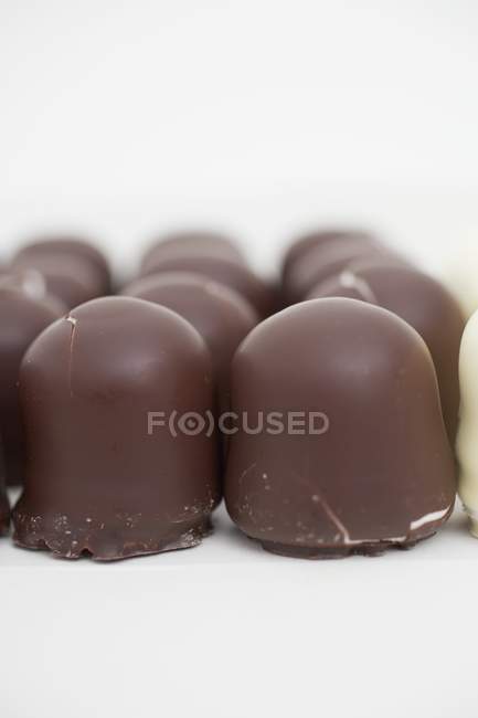 Chocolate covered marshmallows — Stock Photo