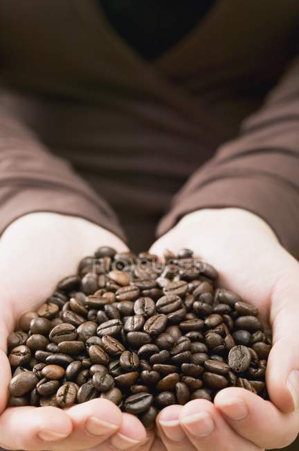 Mãos femininas segurando grãos de café — Fotografia de Stock