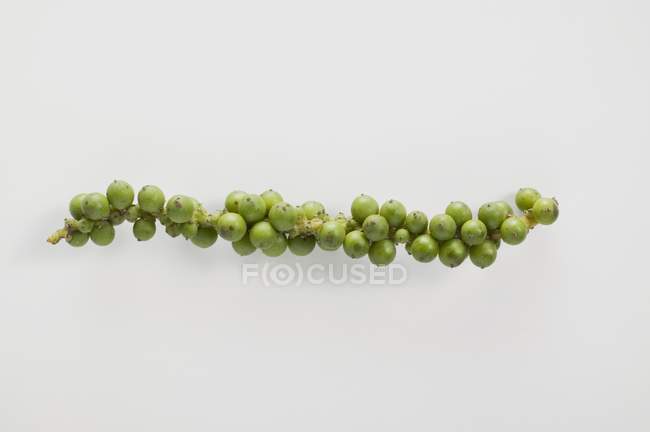 Mazzo di grani di pepe verde fresco — Foto stock