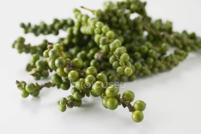 Grappoli di grani di pepe verde fresco — Foto stock