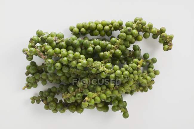 Grappoli di grani di pepe verde fresco — Foto stock