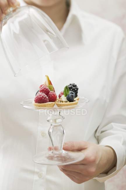 Closeup cropped view of woman holding dish with assorted berry tarts — Stock Photo