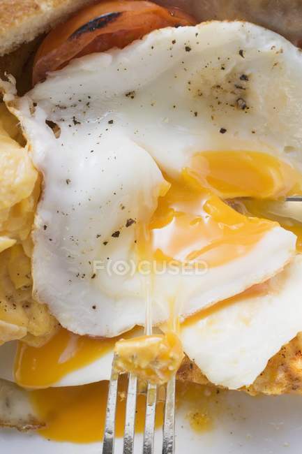 Huevo de pollo frito - foto de stock