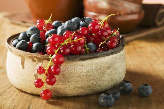 Fresh ripe blueberries and redcurrants — Stock Photo