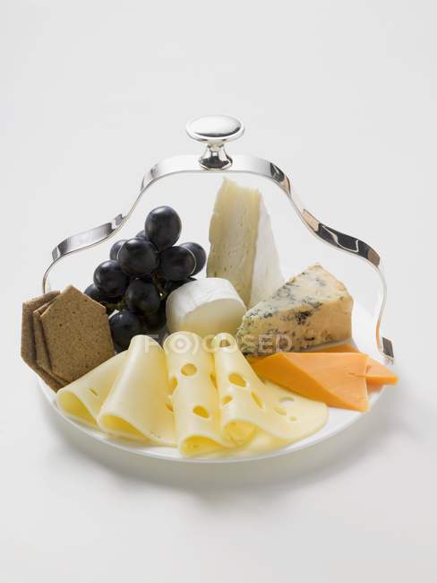 Plateau de fromage aux raisins rouges — Photo de stock