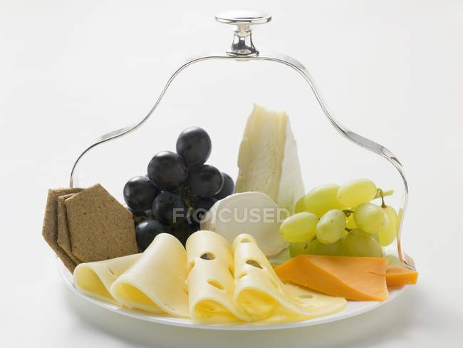 Cheese platter with grapes — Stock Photo