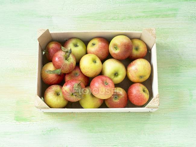 Свежие яблоки в ящике — стоковое фото