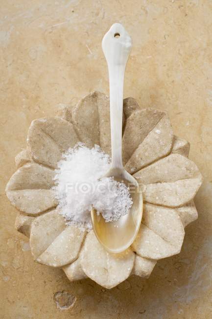 Vista superior de Fleur de sel na colher e no prato em forma de flor — Fotografia de Stock