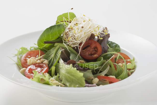Folhas de salada com brotos — Fotografia de Stock