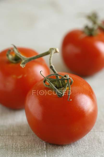 Three red tomatoes — Stock Photo