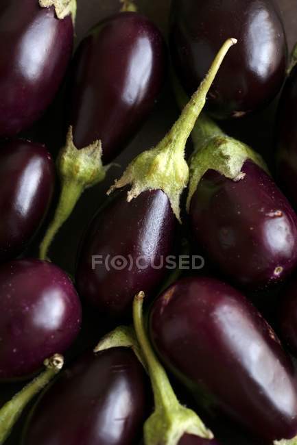 Fresh ripe baby aubergines — Stock Photo