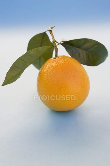Naranja fresco con hojas - foto de stock