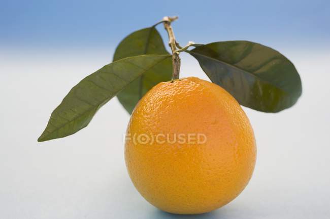 Frische Orange mit Blättern — Stockfoto