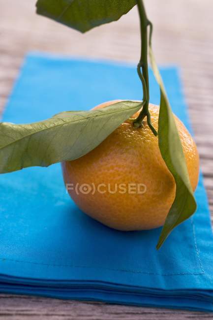 Clementine mit Blättern auf blauem Tuch — Stockfoto