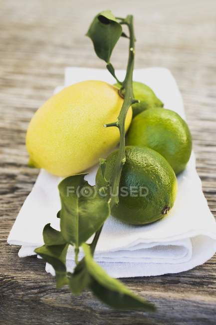 Limones frescos y limón - foto de stock