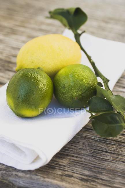 Limones frescos y limón - foto de stock