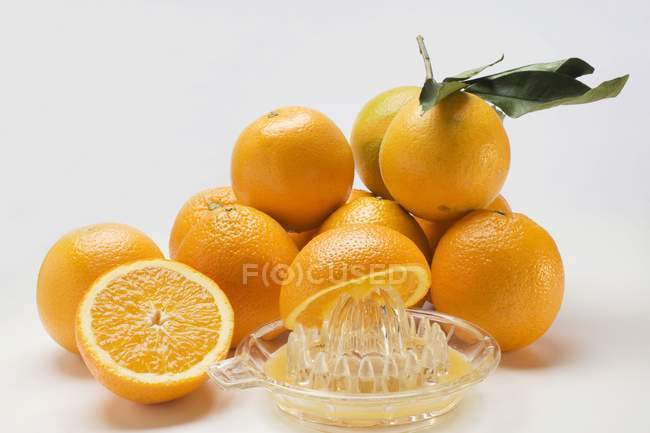 Laranjas frescas e espremedor de citrinos — Fotografia de Stock