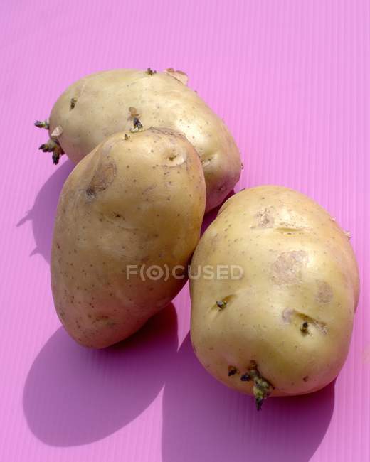 Three raw potatoes — Stock Photo
