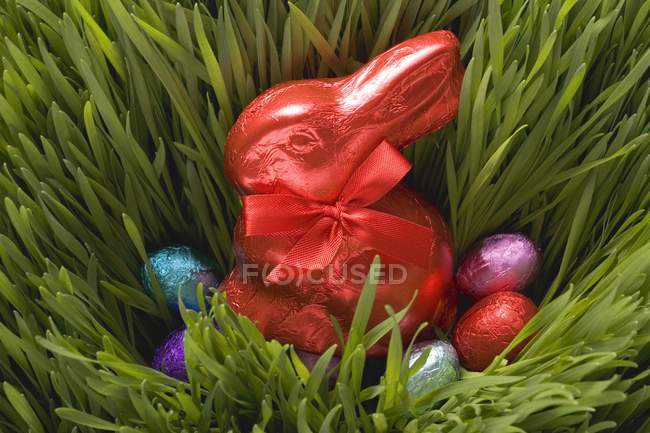 Easter sweets in grass — Stock Photo