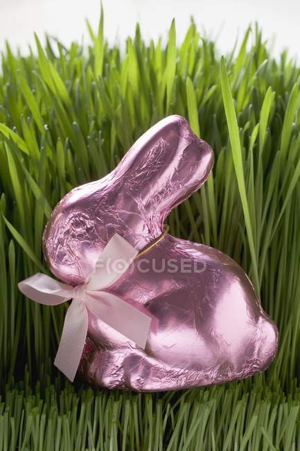 Conejo de Pascua de chocolate rosa — Stock Photo