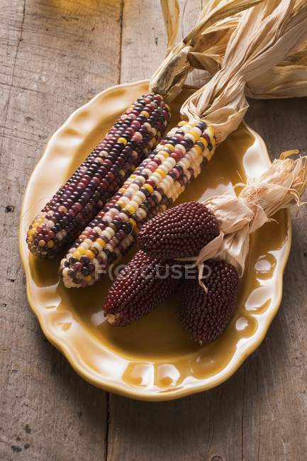 Chuletas de maíz como decoración en plato - foto de stock