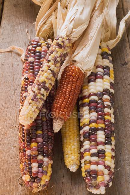 Trozos de maíz maduro - foto de stock