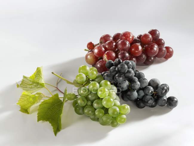 Diferentes tipos de uvas maduras - foto de stock
