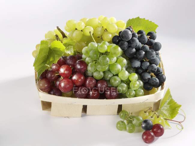 Diversi tipi di uva in un punnet — Foto stock