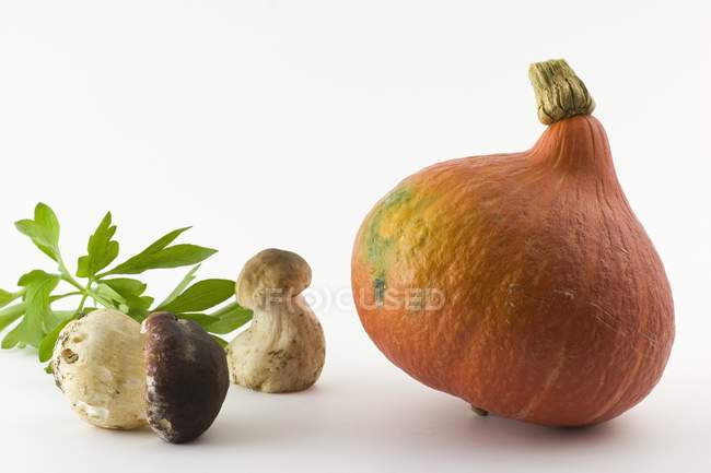 Свіжі горіхи і гарбуз — стокове фото