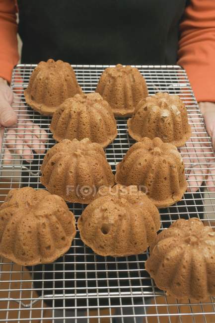 Hands holding freshly baked cakes — Stock Photo