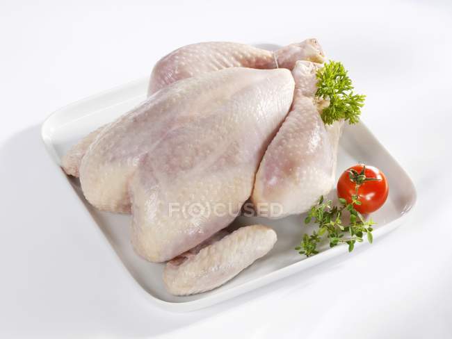 Pollo fresco en plato con tomate y hierbas - foto de stock