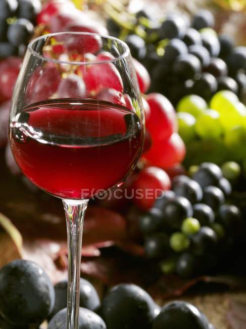 Glass of red wine with mixed grapes — Stock Photo