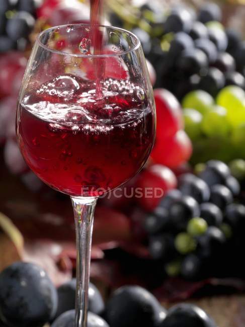 Copa de vino tinto con uvas mezcladas - foto de stock