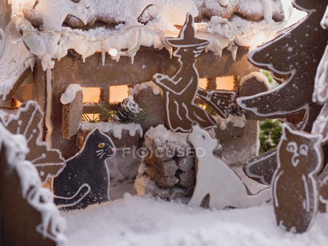 House with gingerbread witch — Stock Photo