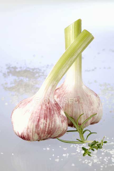 Garlic bulbs with herbs — Stock Photo