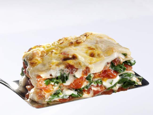 Portion of spinach lasagne on spatula — Stock Photo