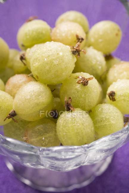 Gooseberries in glass bowl — Stock Photo