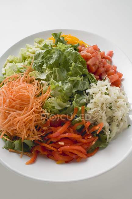 Salad platter: lettuce and raw vegetables on white surface — Stock Photo