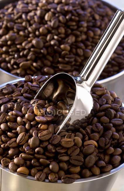 Chicchi di caffè in ciotole con misurino — Foto stock