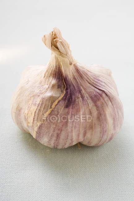 Луковица чеснока на белом — стоковое фото