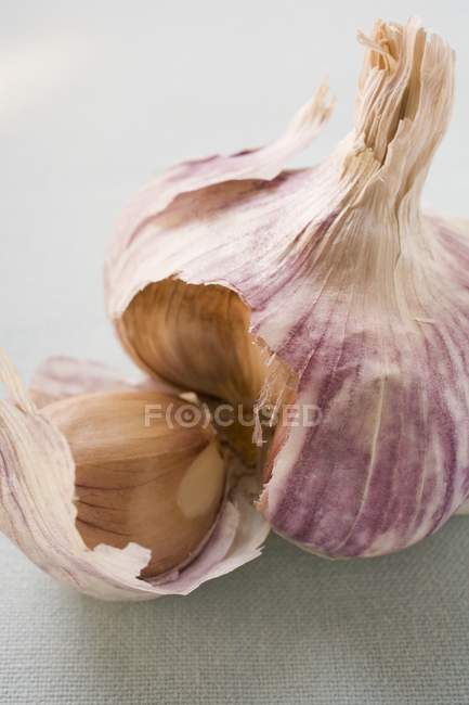 Garlic bulb with  clove — Stock Photo
