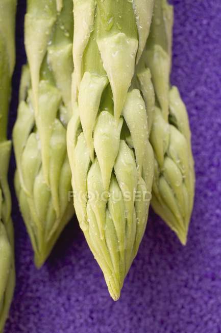 Green asparagus spears — Stock Photo